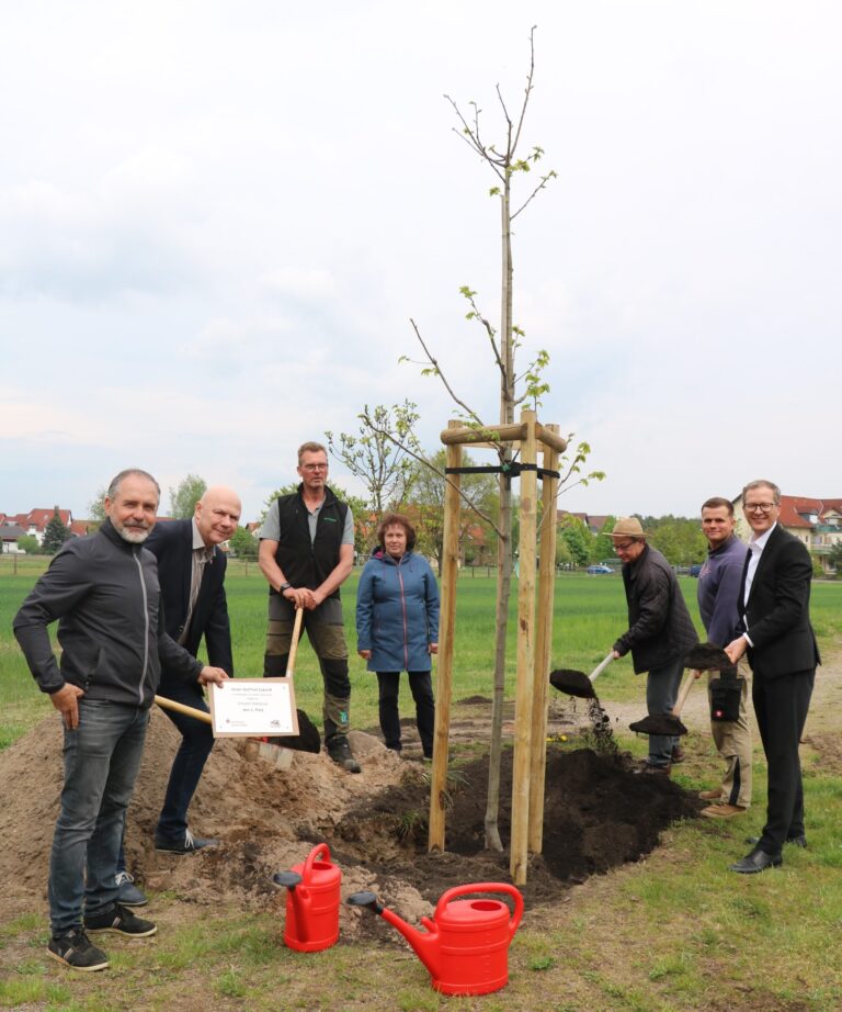 Unser Dorf hat Zukunft - Döbbrick Platz 1 - 2025 - Baumpflanzung einer Esskastanie