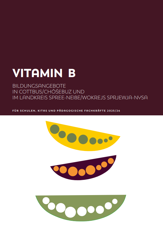 Bildungskatalog 2025