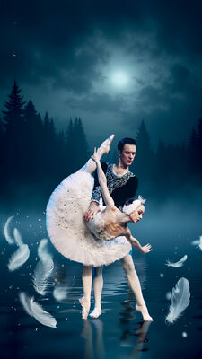 Schwanensee mit Orchester