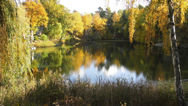 Tag des offenen Hofes > Der Kräuter- und Naturhof präsentiert sich schnörkellos.