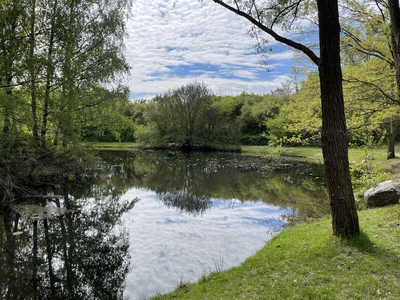 Spree und Mühlgraben Süd