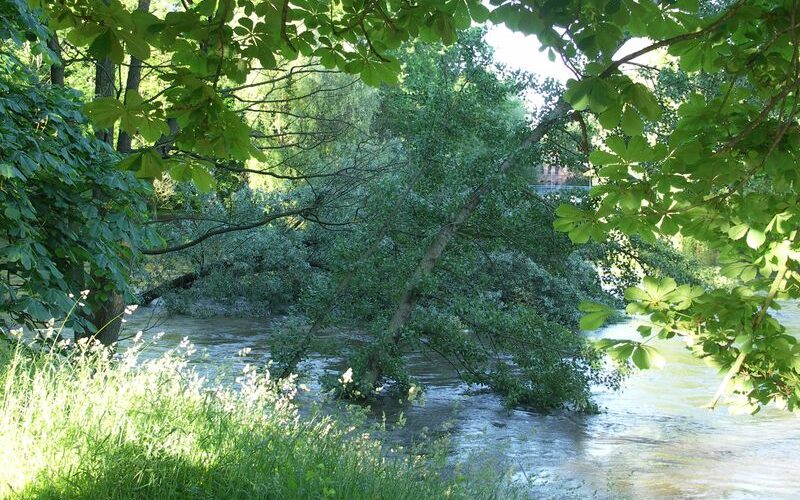 Untere Fischereibehörde