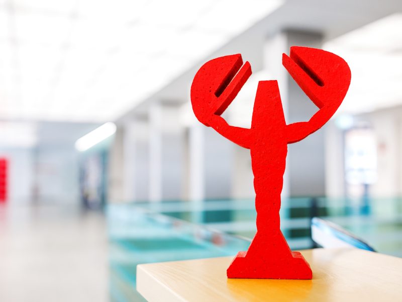 a9483eccd46338723b2ff9ba0b02b65d0876437a2c8df468a23806be3a9d2655.jpg#Andreas Franke, #Foyer, #Foyer Neumarkt, #Krebs, #Neumarkt 5, #Stadtmarke, #Verwaltung, #Verwaltungsgebäude