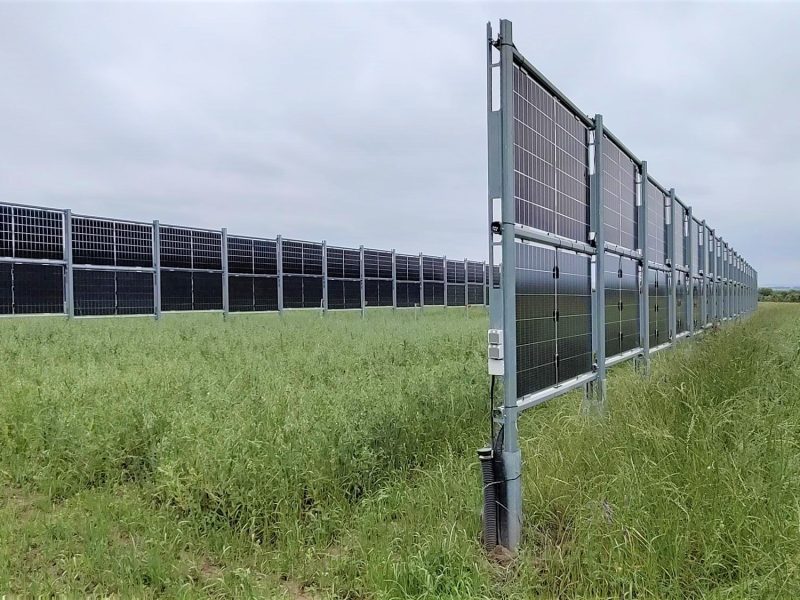 Agri-PV Anlage in Dresden Pillnitz